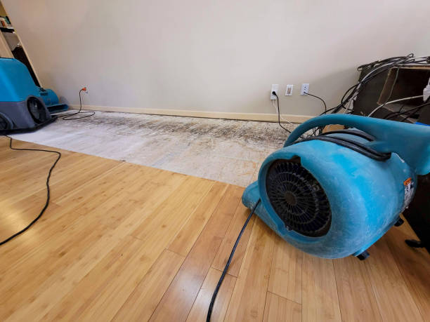 Professional Water Extraction technician working in Chase, MI